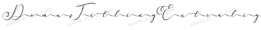 DomusTitlingExtralig字体转换