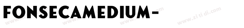 FonsecaMedium字体转换
