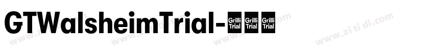 GTWalsheimTrial字体转换