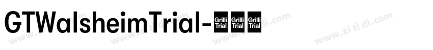 GTWalsheimTrial字体转换