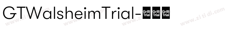 GTWalsheimTrial字体转换