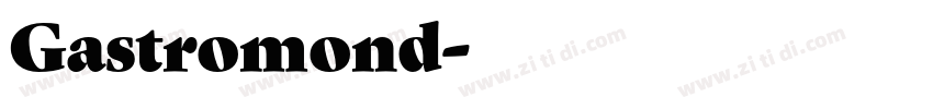 Gastromond字体转换
