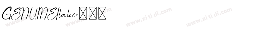 GENUINEItalic字体转换 GENUINEItalic字体转换