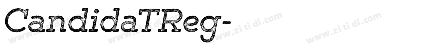 CandidaTReg字体转换