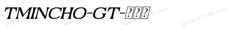 Tmincho-GT字体转换