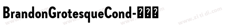 BrandonGrotesqueCond字体转换