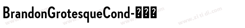 BrandonGrotesqueCond字体转换