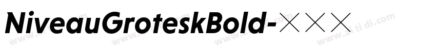 NiveauGroteskBold字体转换