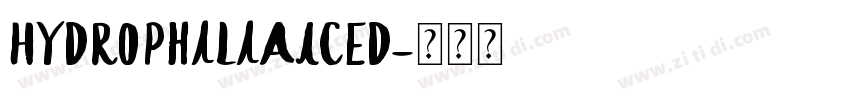 HydrophiliaIced字体转换