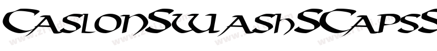 CaslonSwashSCapsSSK字体转换