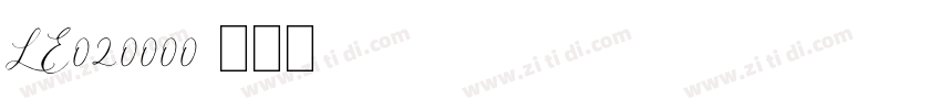 LE020000字体转换