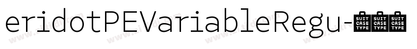 eridotPEVariableRegu字体转换