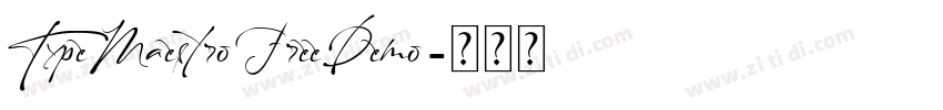 TypeMaestroFreeDemo字体转换