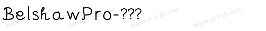 BelshawPro字体转换