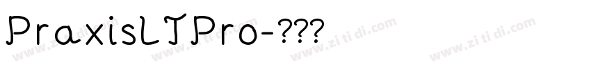 PraxisLTPro字体转换