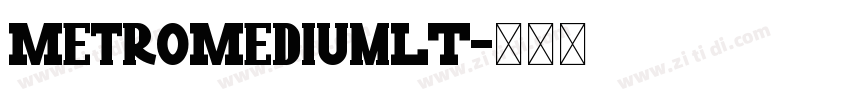 MetroMediumLT字体转换