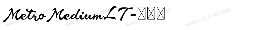 MetroMediumLT字体转换
