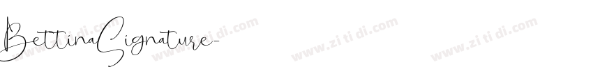 BettinaSignature字体转换