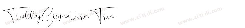 TrullySignatureTria字体转换