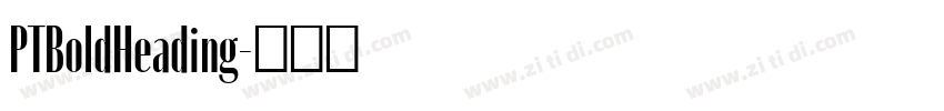 PTBoldHeading字体转换 PTBoldHeading字体转换