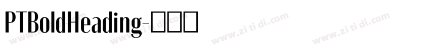 PTBoldHeading字体转换 PTBoldHeading字体转换