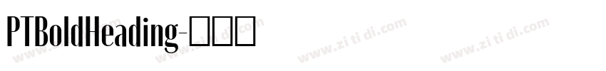PTBoldHeading字体转换 PTBoldHeading字体转换