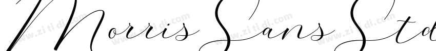 MorrisSansStd字体转换