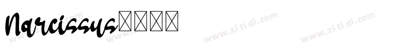Narcissus字体转换