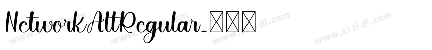 NetworkAltRegular字体转换