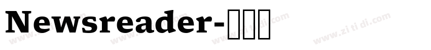 Newsreader字体转换