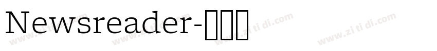 Newsreader字体转换