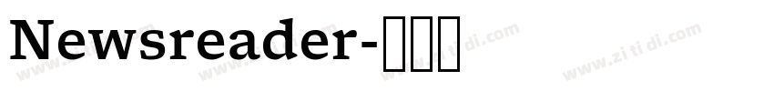 Newsreader字体转换