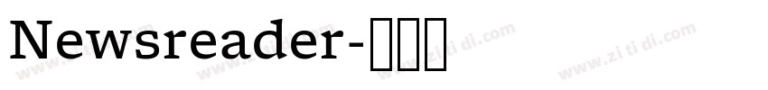 Newsreader字体转换