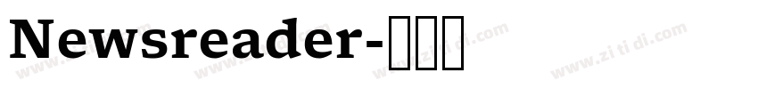 Newsreader字体转换