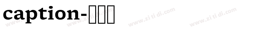 caption字体转换