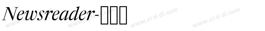 Newsreader字体转换