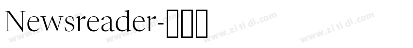 Newsreader字体转换