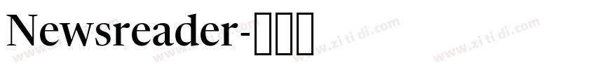 Newsreader字体转换