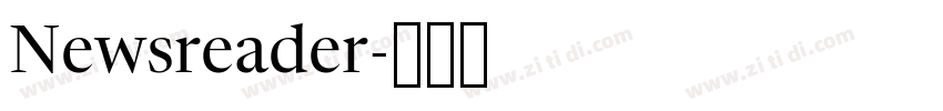 Newsreader字体转换