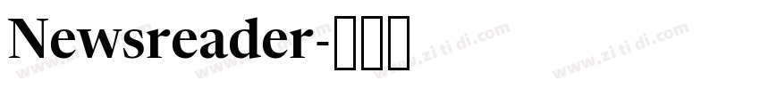 Newsreader字体转换