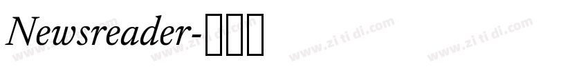 Newsreader字体转换