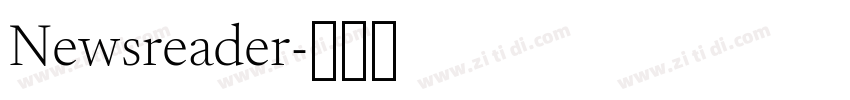 Newsreader字体转换