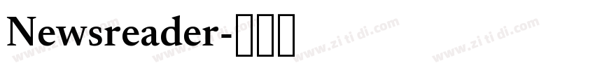 Newsreader字体转换