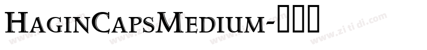 HaginCapsMedium字体转换