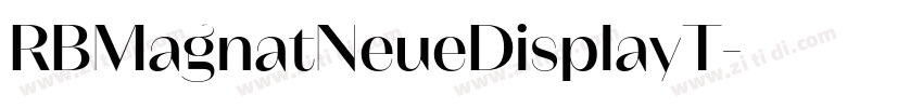 RBMagnatNeueDisplayT字体转换