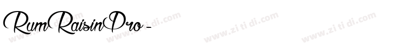 RumRaisinPro字体转换