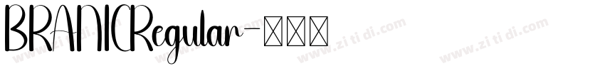 BRANICRegular字体转换