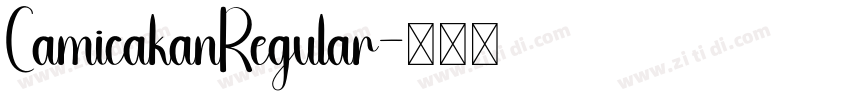 CamicakanRegular字体转换
