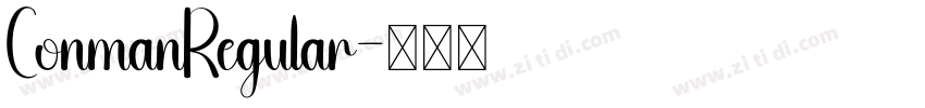 ConmanRegular字体转换