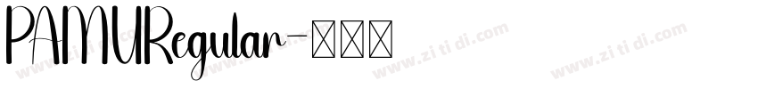 PAMURegular字体转换